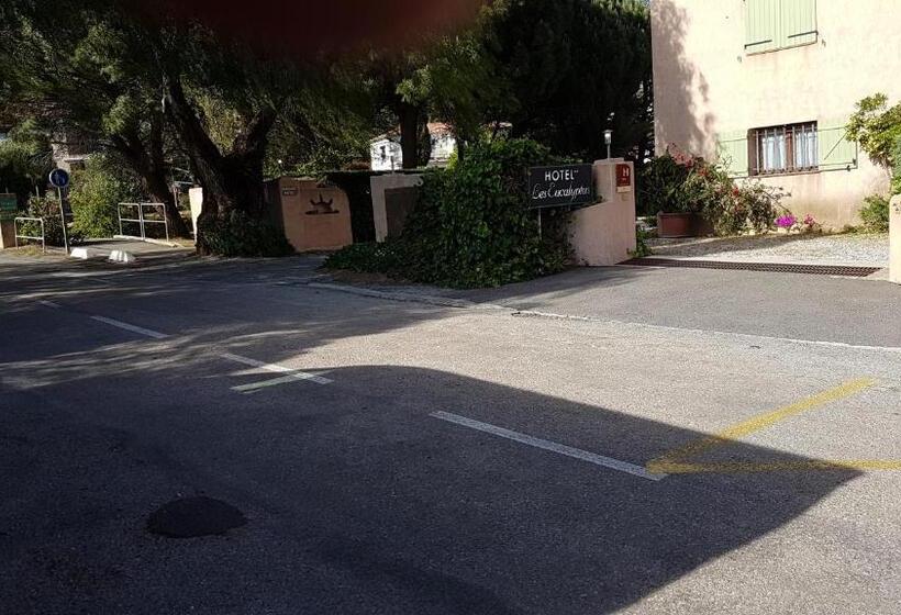 ホテル Hôtel Les Eucalyptus