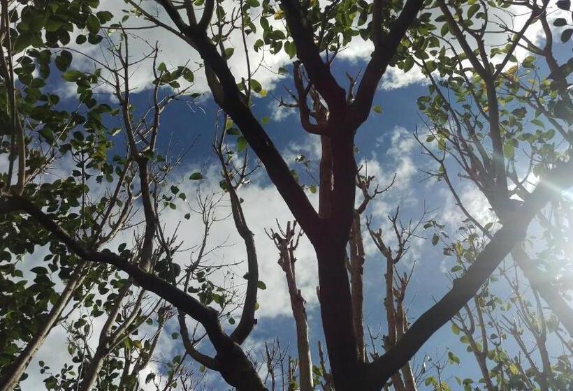 Отель Locanda Solagna