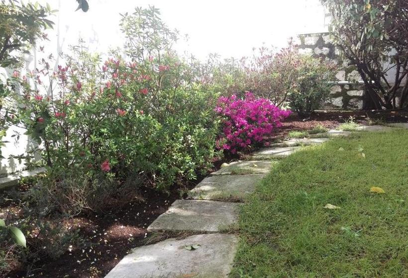 Отель Locanda Solagna