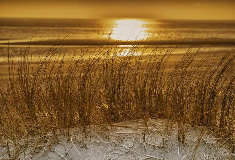 ホテル Meerblickd21