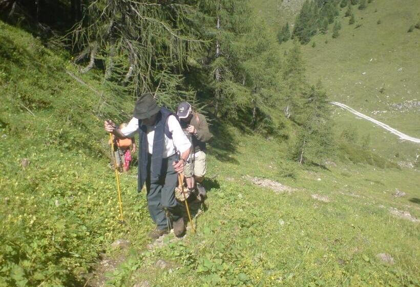 호텔 Pension Schönblick