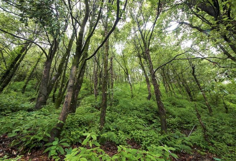 בית מלון כפרי Rio Grand