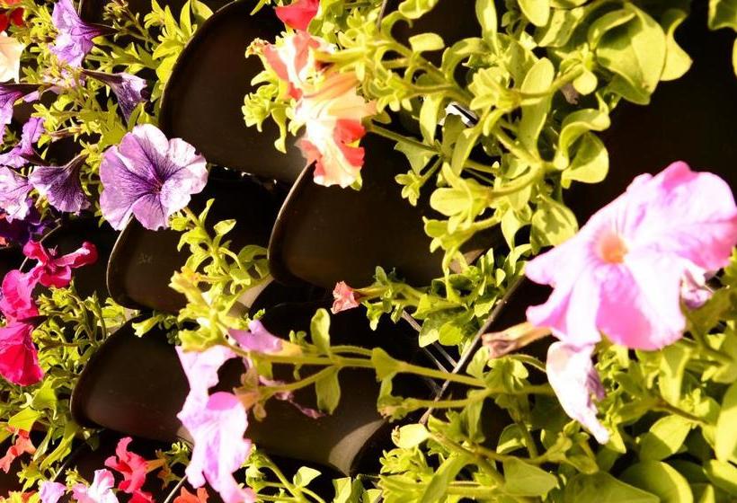 فندق Starvilla Mount Abu