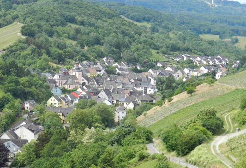 酒店 Weingut Stassen