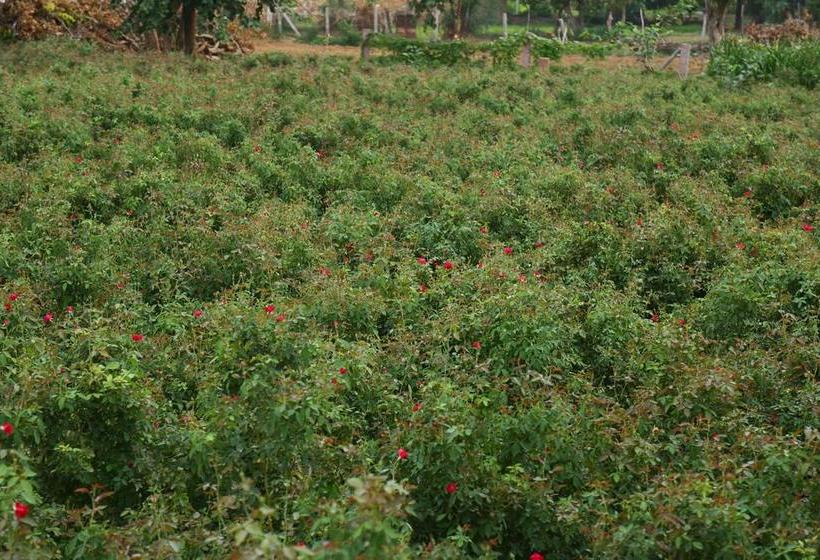 هتل Winter Mountain Resort