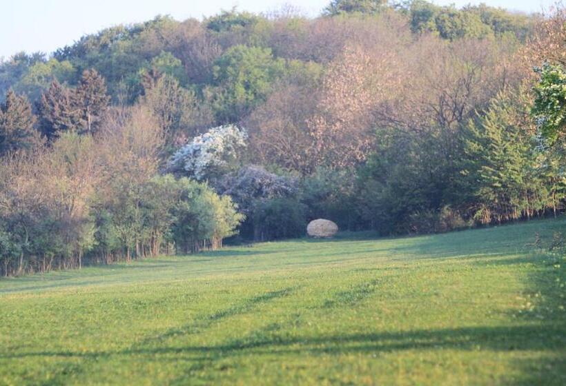 호텔 Zum Herrenhaus