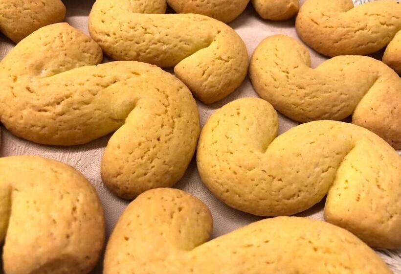 호스텔 Domus Clugiae