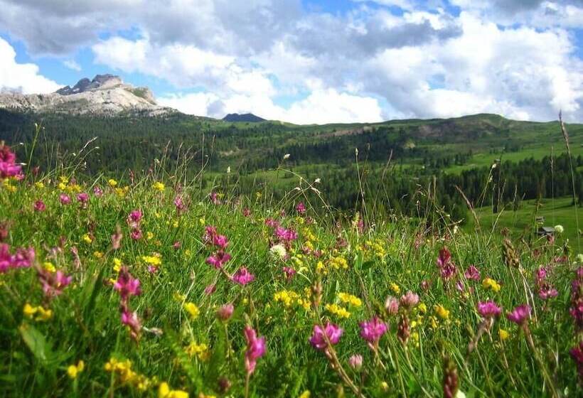 Alpine Hotel Ciasa Lara