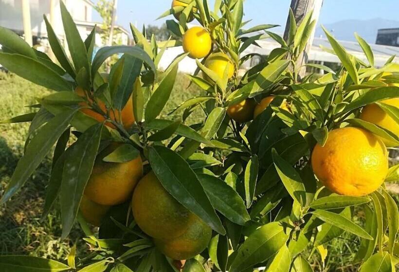 مبيت وإفطار Beatrice Home