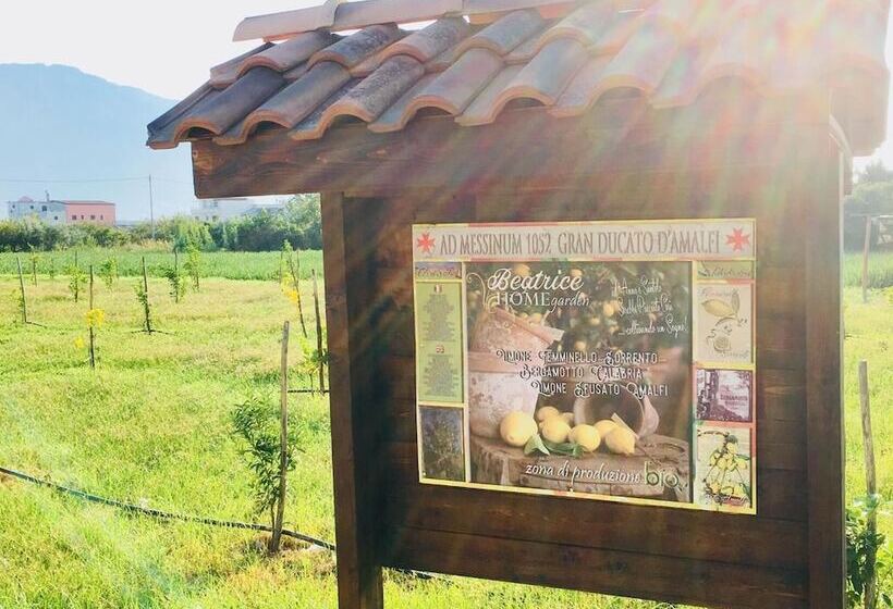 مبيت وإفطار Beatrice Home