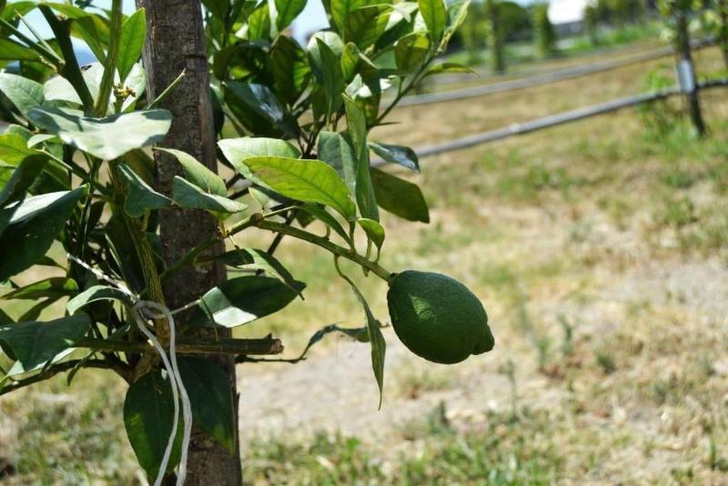 مبيت وإفطار Beatrice Home