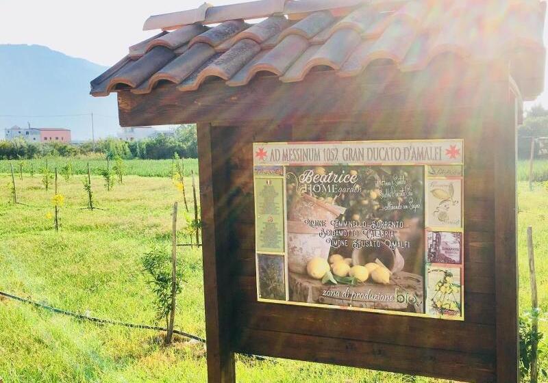 مبيت وإفطار Beatrice Home