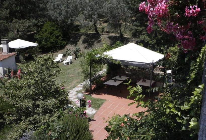 住宿加早餐  Casa Virgilio