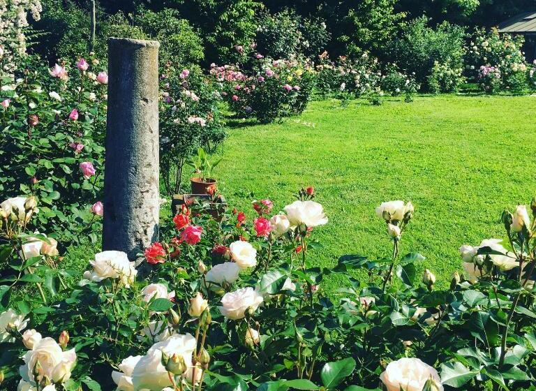 צימר Dimora Di Campagna