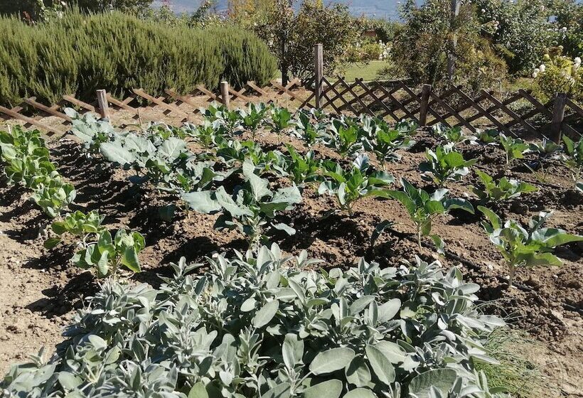 Bed and Breakfast Il Fienile Di Assisi