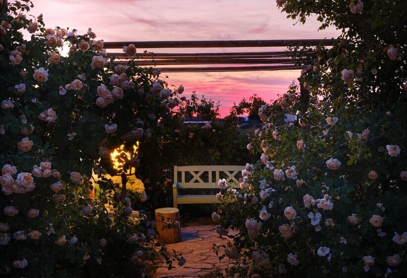 Bed and Breakfast Il Fienile Di Assisi