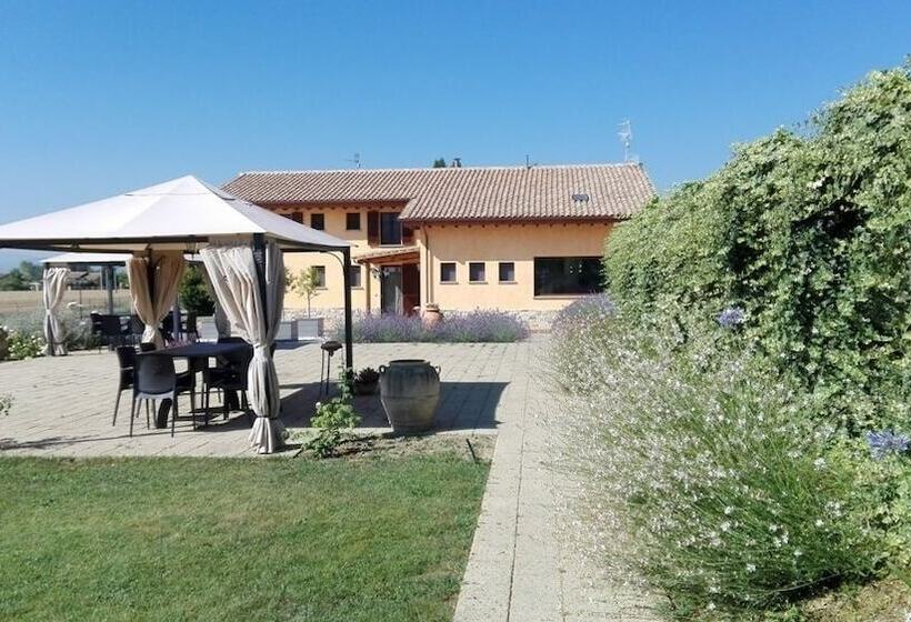 Bed and Breakfast Il Fienile Di Assisi