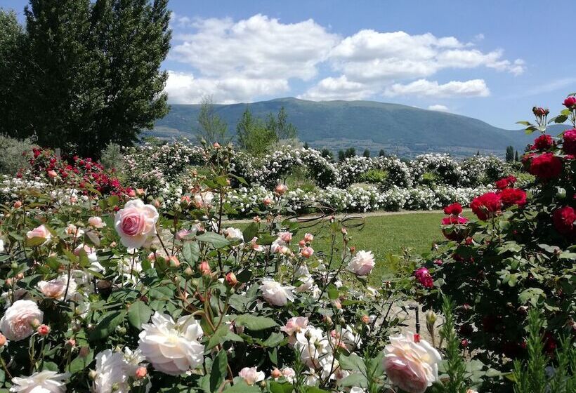 Bed and Breakfast Il Fienile Di Assisi