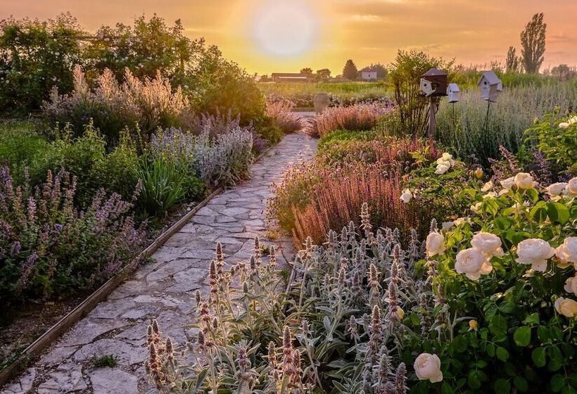 Bed and Breakfast Il Fienile Di Assisi