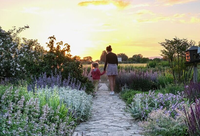 Bed and Breakfast Il Fienile Di Assisi