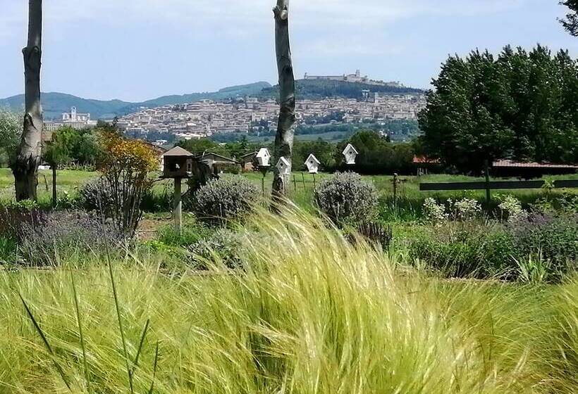 Bed and Breakfast Il Fienile Di Assisi