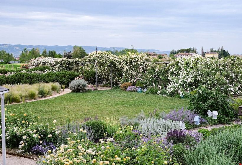 Bed and Breakfast Il Fienile Di Assisi