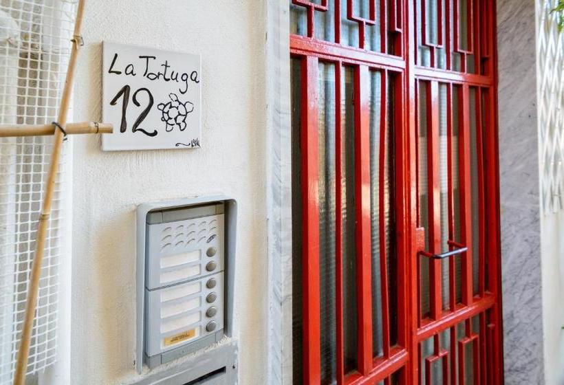 Bed and Breakfast La Tortuga