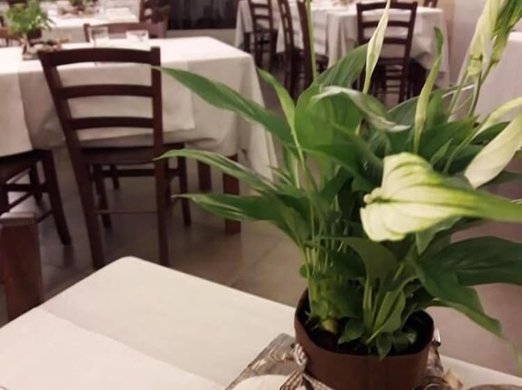 住宿加早餐  Locanda Blum In