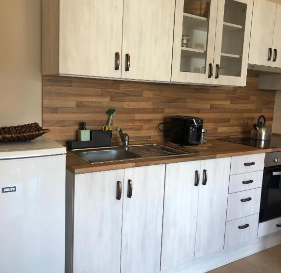 ベッドアンドブレックファースト Dům Pod Radnicí Pokoje