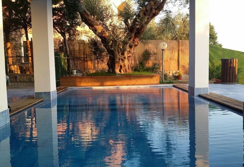 Bed and Breakfast Villa Betta