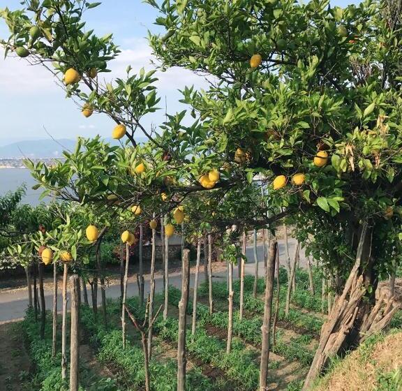 ホテル Elisabetta