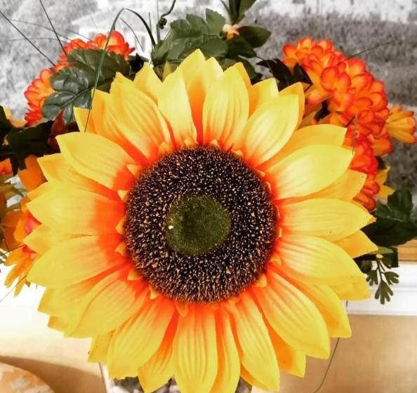 호텔 Elvira Fiuggi