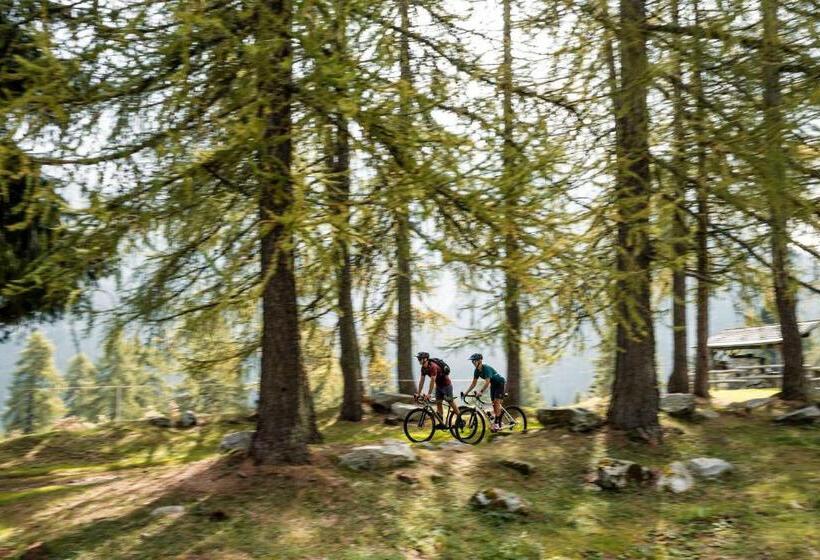 בית מלון כפרי Monroc