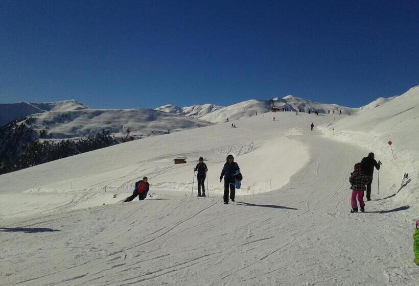 호텔 Pension Florian