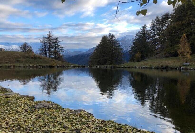 호텔 Pension Florian