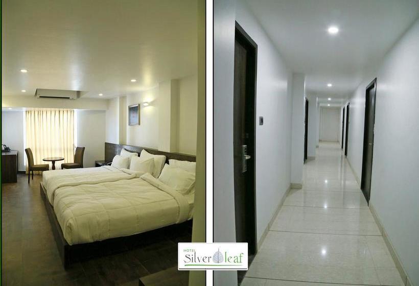 酒店 Silver Leaf