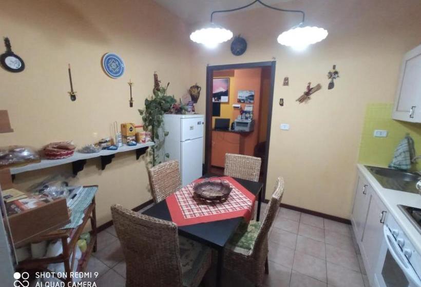 Movida Inn B&b