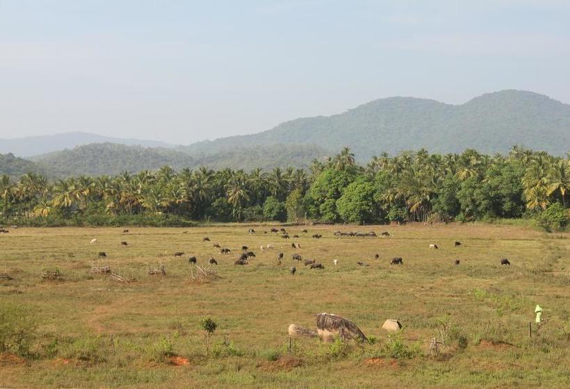 Summer By Thehostelcrowd