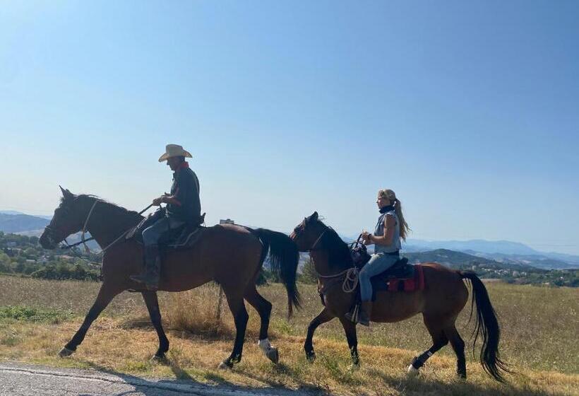 B&b Il Sentiero Dei Goti