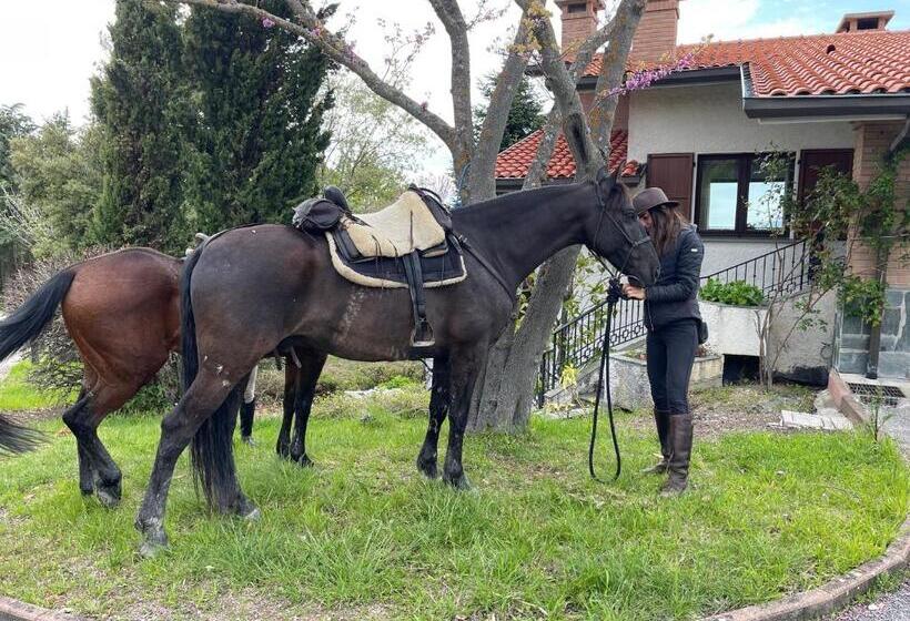 B&b Il Sentiero Dei Goti