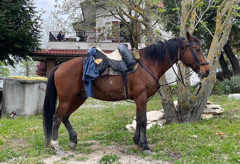 B&b Il Sentiero Dei Goti