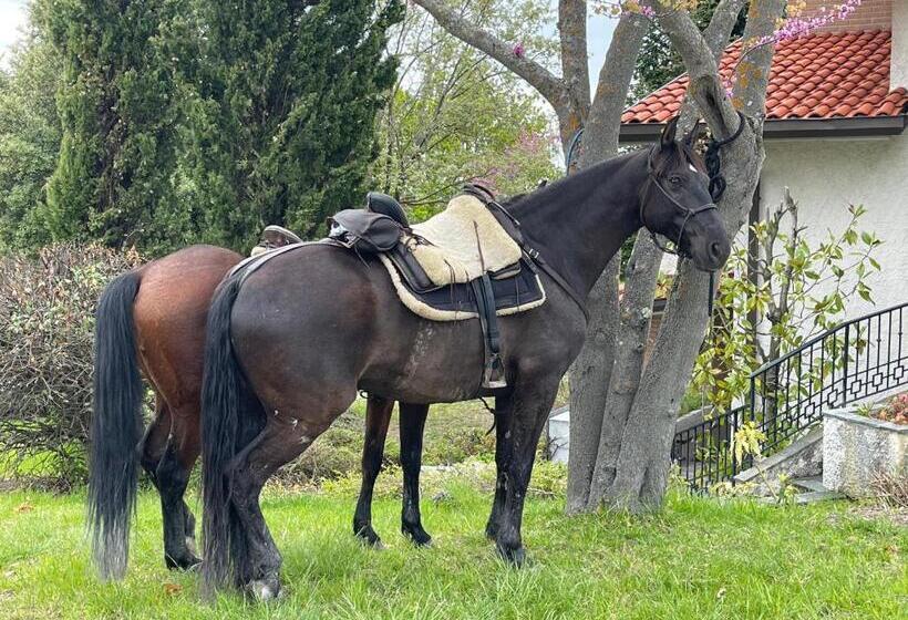 B&b Il Sentiero Dei Goti