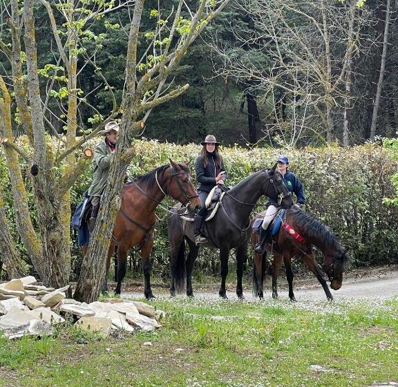 B&b Il Sentiero Dei Goti