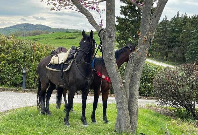 B&b Il Sentiero Dei Goti