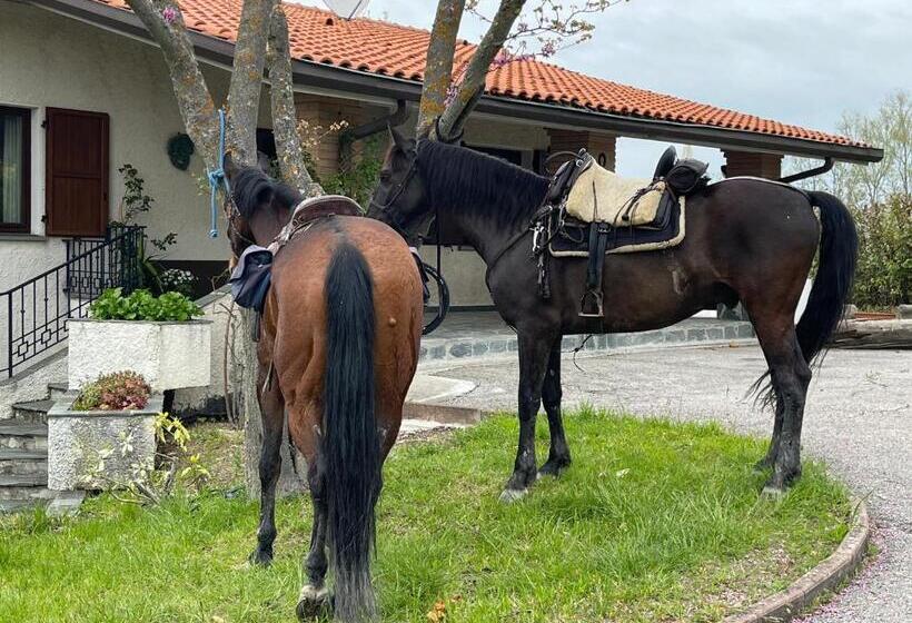 B&b Il Sentiero Dei Goti