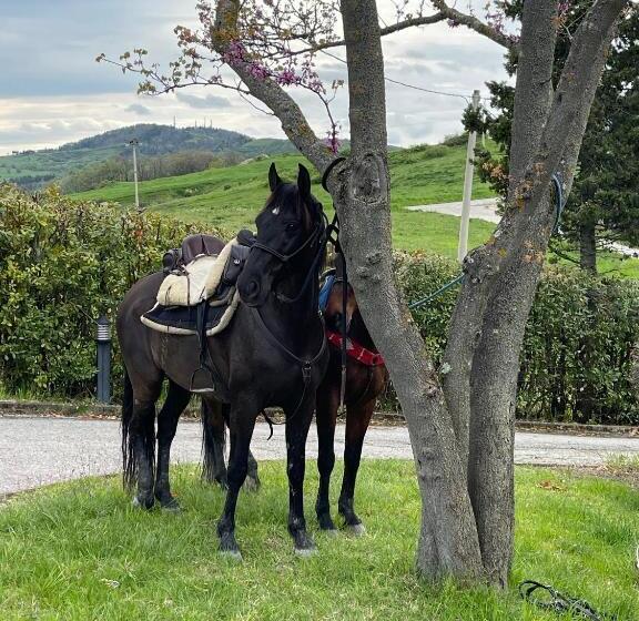 B&b Il Sentiero Dei Goti