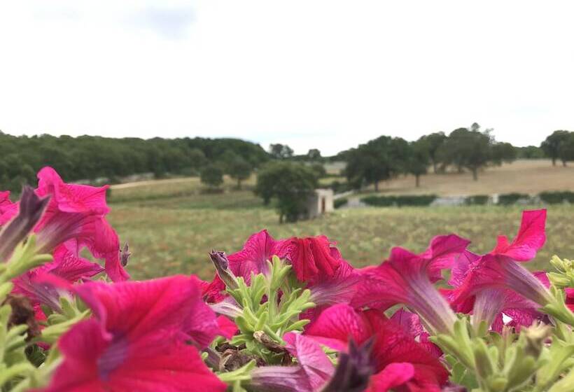 צימר Aria Di Casa Country Resort