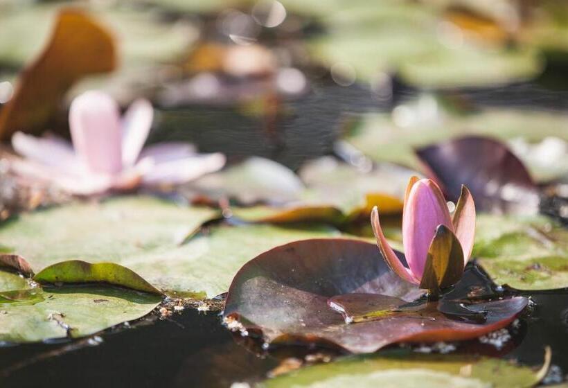 مبيت وإفطار Artemide Relais