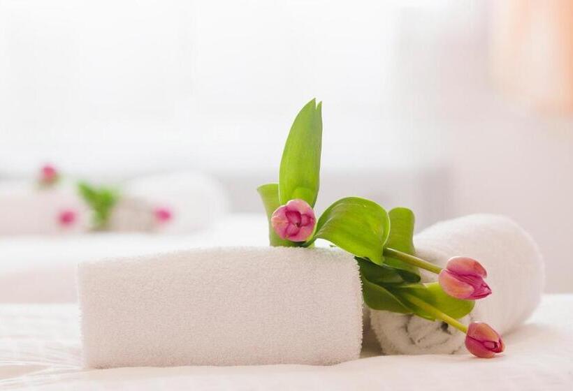 مبيت وإفطار Artemide Relais