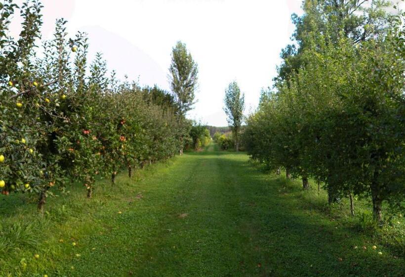 צימר Casa Filaferro